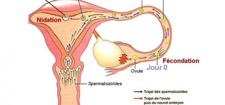 bilan3e